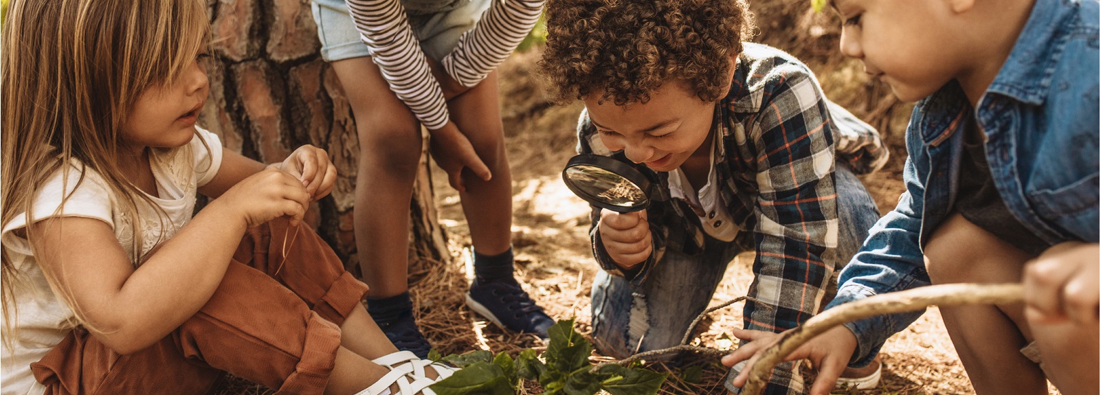 Kids with magnifying glass in the forest