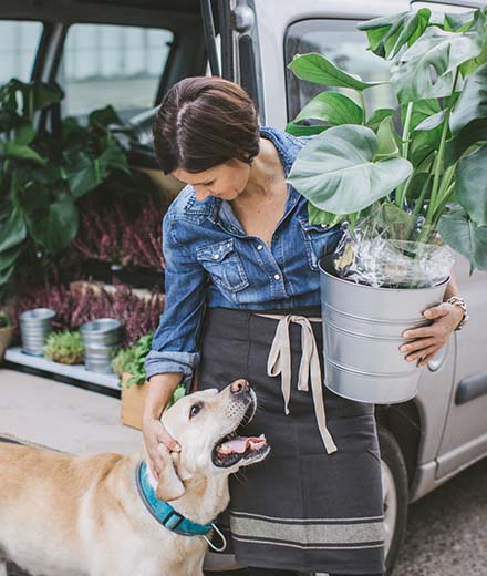 Florist holds potted plant while petting her dog.